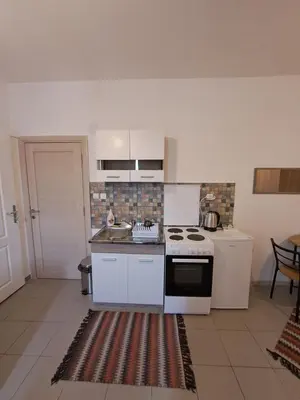 a kitchen with a sink and a stove top oven at Sofi III in Niš