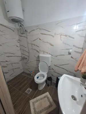 a bathroom with a toilet and a sink at Sofi III in Niš