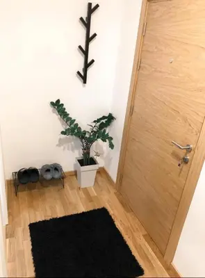 a room with a door and a potted plant at BlueSky in Vrnjačka Banja