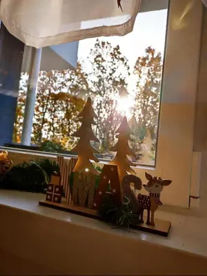 a window with christmas decorations on a window sill at BlueSky in Vrnjačka Banja