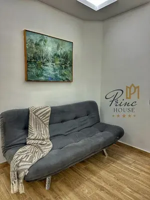 a couch in a room with a painting on the wall at Princ house in Leskovac