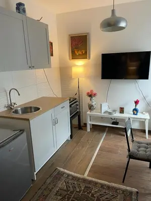 a kitchen with a sink and a counter top at Vrnjacka Renesansa Promenada in Vrnjačka Banja