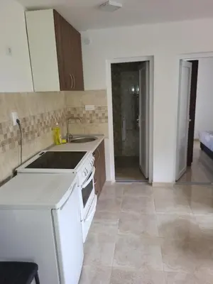 a kitchen with a sink and a stove top oven at Apartment Pavlović in Soko Banja