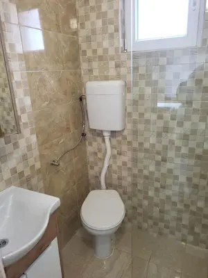 a bathroom with a toilet and a sink at Apartment Pavlović in Soko Banja