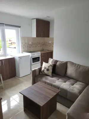 a living room with a couch and a table at Apartment Pavlović in Soko Banja