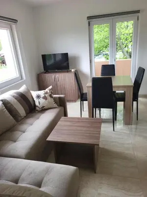 a living room with a couch and a table at Apartment Pavlović in Soko Banja