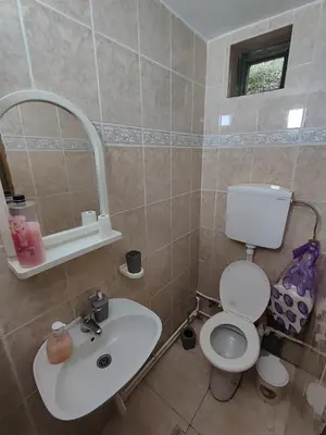 a bathroom with a white toilet and a sink at Kuca za odmor Lisine in Despotovac