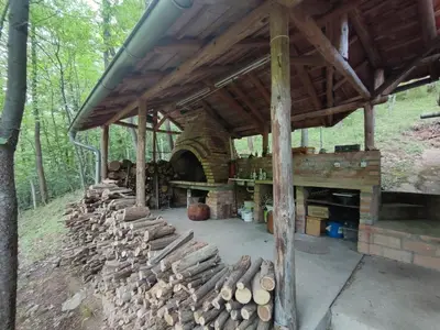 a large wooden building with a pile of fire wood at Kuca za odmor Lisine in Despotovac