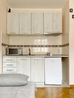 a kitchen with white cabinets and a microwave at Apartment, Vrnjacka-Banja, Raj in Vrnjačka Banja
