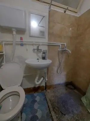 a bathroom with a toilet and a sink at Smeštaj Gokčanica in Gokčanica