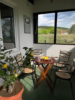 a room with a table and chairs and a plant at Villa Buena in Despotovac