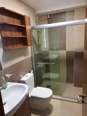 a bathroom with a shower and a toilet and a sink at APARTMENTS FOKA & SPA - 600m from Gondola ski lift in Kopaonik