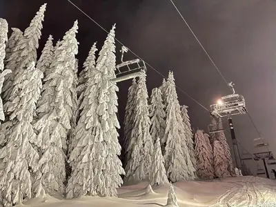 a ski lift with snow covered pine trees at APARTMENTS FOKA & SPA - 600m from Gondola ski lift in Kopaonik