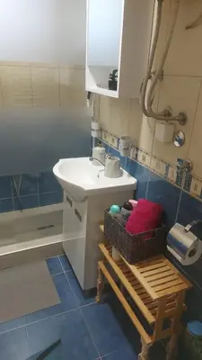 a bathroom with a sink and a toilet and a shower at Nena Studio in Jagodina