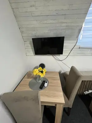 a room with a table with flowers and a tv at Stan na dan Raška in Raška