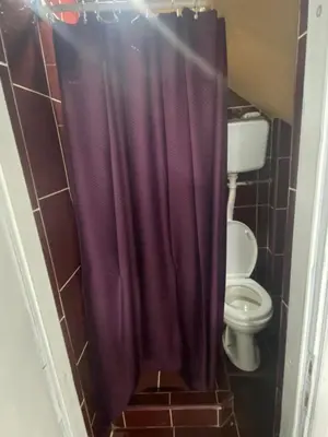 a purple shower curtain in a bathroom with a toilet at Stan na dan Raška in Raška