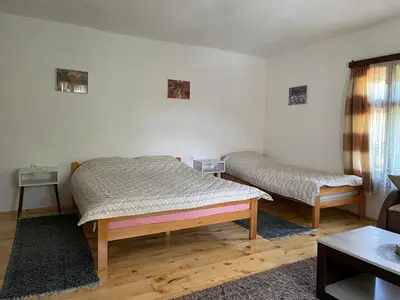 a bedroom with two beds in a room at Apartmani Nikola Dojkinci in Pirot