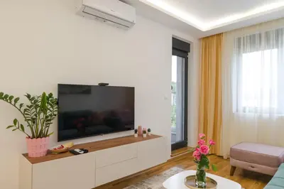 a living room with a large flat screen tv on a wall at Apartmani Central 14 & Free parking garage in Vrnjačka Banja