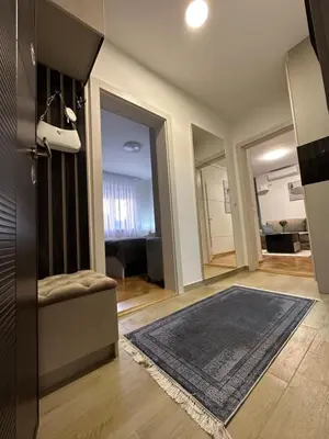 a living room with a couch and a rug at Talija apartman 3 in Vrnjačka Banja