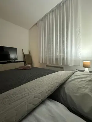 a bedroom with a large bed and a television at Talija apartman 3 in Vrnjačka Banja