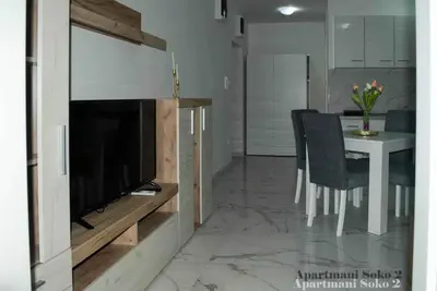 Gallery image of Apartman Soko 2 in Soko Banja