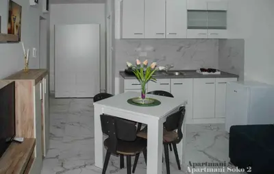 Gallery image of Apartman Soko 2 in Soko Banja