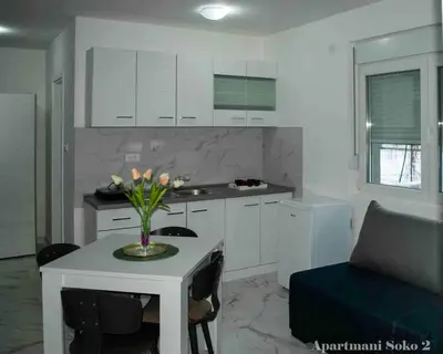 Gallery image of Apartman Soko 2 in Soko Banja