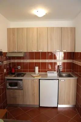 a small kitchen with wooden cabinets and a sink at Apartman Lorenzo in Vrnjačka Banja