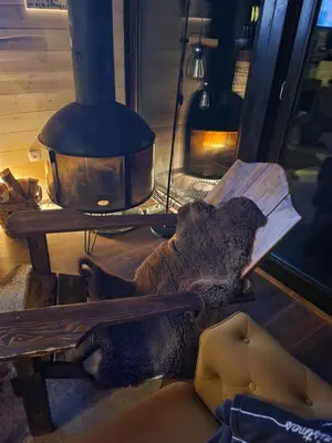 a teddy bear laying on the floor next to a fireplace at Ski & Spa Bungalows in Kopaonik