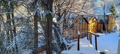 a cabin in the woods with snow on the ground at Ski & Spa Bungalows in Kopaonik