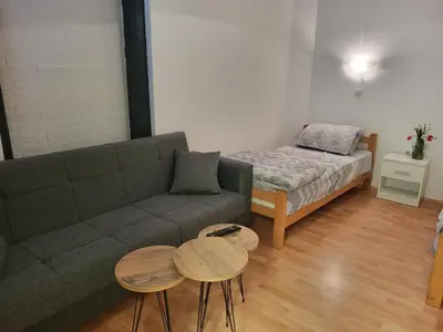 a living room with a couch and two tables and a bed at Studio Janko in Vrnjačka Banja
