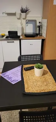 a table with a keyboard and a potted plant on it at Studio Janko in Vrnjačka Banja