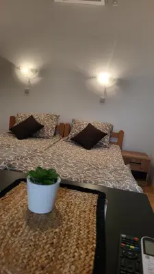 a bedroom with a bed with a potted plant on it at Studio Janko in Vrnjačka Banja