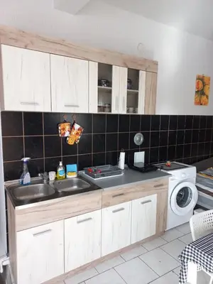 a kitchen with a sink and a washing machine at Studio apartman Beus in Kuršumlija