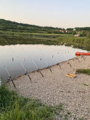 a group of fishing poles in the water at s t d -PARADISO- in Vranje
