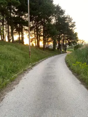 an empty road with trees on the side of a field at s t d -PARADISO- in Vranje