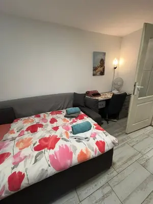 a bedroom with a bed and a desk in it at Apartmani Milanović Jagodina in Jagodina