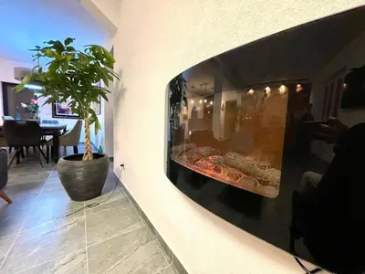 a fireplace in a living room with a potted plant at Rezidencija Arion in Kraljevo