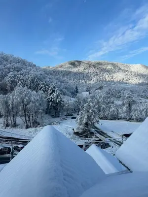 a view of a snowy field with trees and mountains at Villa Veljković - Sobe & apartmani 