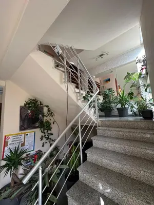 a staircase in a building with potted plants at Villa Veljković - Sobe & apartmani 
