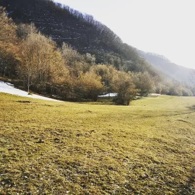 a field of grass with trees in the background at Temački amanet in Pirot