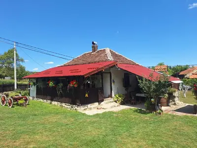 a small house with a red roof in a yard at Seosko Domaćinstvo Jevtić in Ždraljica