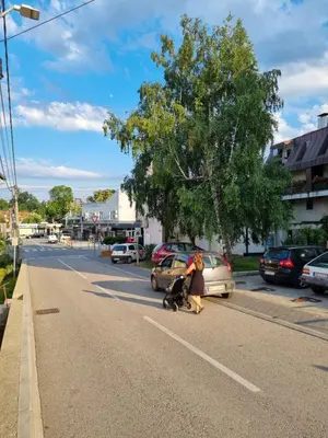 a woman walking a dog down a street at Apartman BN in Vrnjačka Banja