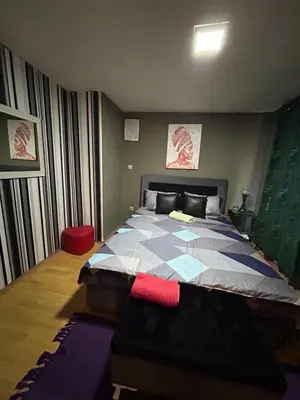 a bedroom with a large bed in a room at Vanila in Leskovac
