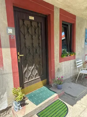 a front door of a house with a green mat in front at Vanila in Leskovac