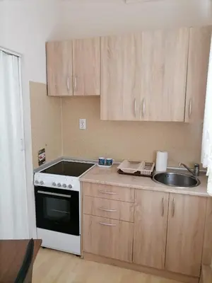 a kitchen with a sink and a stove at Apartman Jabuka in Paraćin