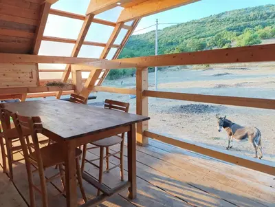 a horse standing on a porch with a table at Magarija 1 in Dimitrovgrad