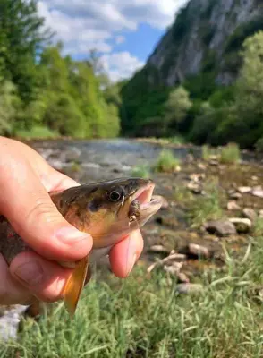 a person holding a fish with its mouth open at Kuca Lula Stara planina in Pirot