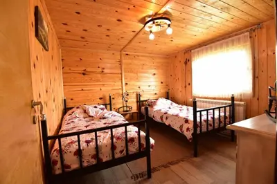 a bedroom with two beds in a log cabin at Kucica od drveta 1 in Kopaonik