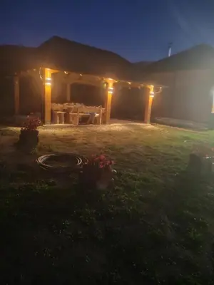 a house with lights in a yard at night at Kucica od drveta 1 in Kopaonik